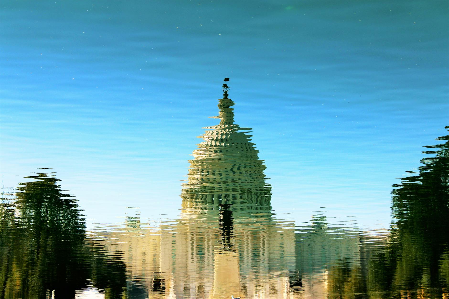 Congressional Elections